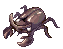 精英巨象甲虫 