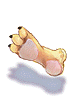 虎掌