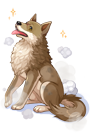 pet_desert_wolf.jpg