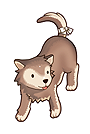 pet_desert_wolf_b.jpg